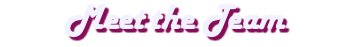 Meet the Team